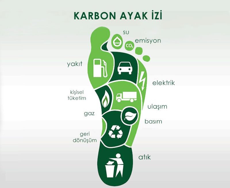 karbon ayak izi nedir
